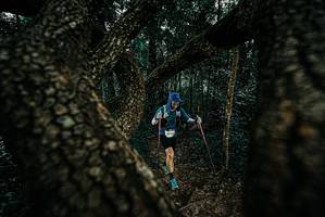 BIB: 
                            <button type="button" onclick="openModal(25678142)" class="btn btn-primary btn-sm float-right btn-popup" data-toggle="modal" data-target=".modal-high-quality">
                        <i class="fas fa-shopping-cart"></i> Add to Cart
                    </button>
                                            <button type="button" onclick="isThisMe(25678142, true)" class="btn btn-success btn-sm float-right btn-popup btn-isme hidden" data-toggle="tooltip" data-placement="bottom" title="นี่คือรูปของคุณใช่ไหม คลิกที่นี่เพื่อเอาเข้าอัลบั้ม">
                        <i class="fas fa-plus"></i> Add to album
                    </button>
                    <button type="button" onclick="isThisMe(25678142, false)" class="btn btn-warning btn-sm float-right btn-popup btn-isnotme hidden">
                        <i class="fas fa-ban"></i> Remove from album
                    </button>